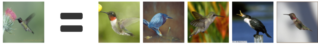 Hummingbird